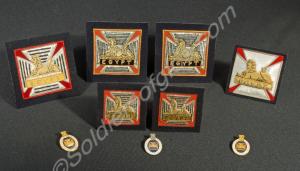 Samples of badges of the Royal Gloucestershire, Be