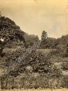'View from Captain Tufnell's bungalow'. 2nd Battal