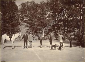 Polo ponies, grooms and dogs of 1st Battalion, The
