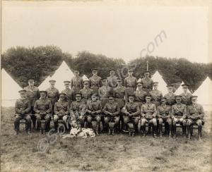 The officers of 6th Battalion, The Gloucestershire