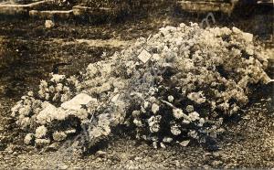 Massed wreathes of flowers on a grave, date unknow