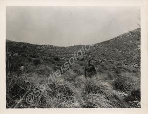 General Sir Harold Alexander at Mount Camino Area,