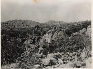 '17 Dec 1943 MM-5-44-151515 Mt. Camino Area, Ital