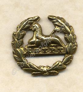 Officer's gilt back badge for topee. Gloucestershi