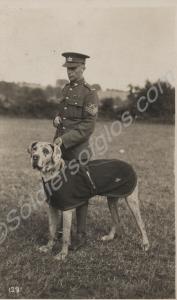 BRAGGS III and Sergeant Saunders. The harlequin Gr