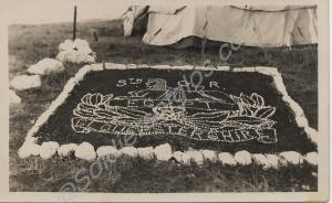 Pebble display of Regimental Badge. 5th (Territori