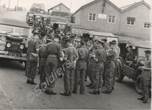 Land Rovers and Austin Champs prior to the start o