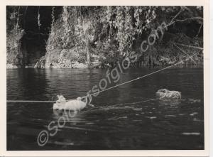 Corporal Jones. 1st Battalion, The Gloucestershire