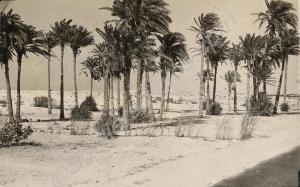 Sidi Bishr, 1942. Royal Gloucestershire Hussars. E