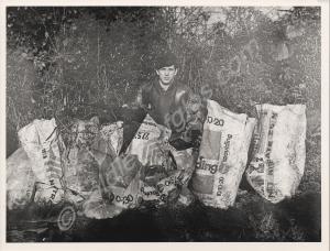 Lance Corporal Price with fertiliser bags. 1st Bat