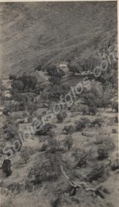 Tea plantation, Purandhar. 2nd Battalion, The Glou