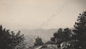Tea plantation, Purandhar. 2nd Battalion, The Glou