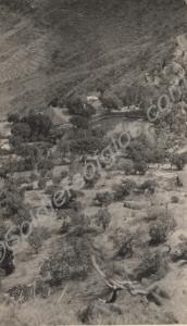 Tea plantation, Purandhar. 2nd Battalion, The Glou