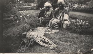 Hunting trophy - two Indian guides with dead leopa
