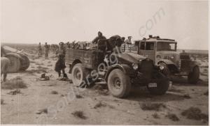 Softskin vehicles in desert exercise. 2nd Battalio