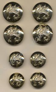 Eight Wessex Brigade buttons.  1958-1971.