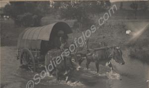Bullock cart. Burma. 1941.