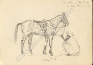 "One of the 17th Cav. ponies on Rawal Pindi Ground