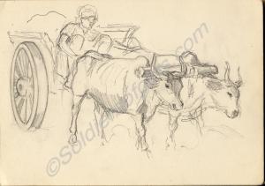 Sketch of cart and oxen. 1920. Work by Major Tom B