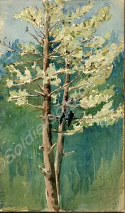 "A study of fir trees. Gharial." 1921. Work by Maj