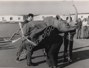 Brigadier with pantomime airmobile rhinocerous and
