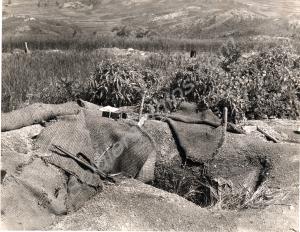 Deserted slit trench on Hill 235 after the battle