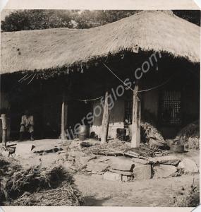 Village hut. Korea. c.1951.