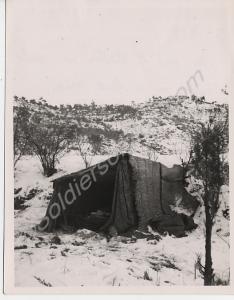 Poncho shelter. 1st Battalion, The Gloucestershire