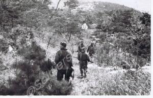 Gloucesters on patrol. 1st Battalion, The Gloucest