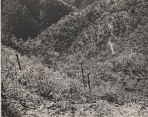 View of the Imjin battlefield. Valley to west of P