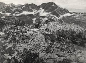 View of the Imjin battlefield.  Photograph of the