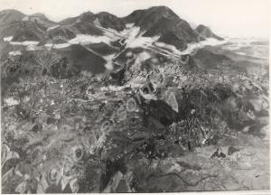 Photograph of the painting "Final stand of 1st Bat
