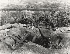Slit trench, Gloster Hill Korea. 1st Battalion, T