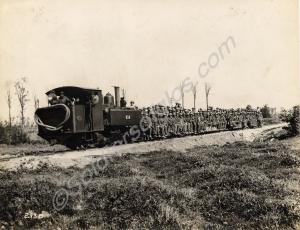 Canadian troops returning from front line by narro