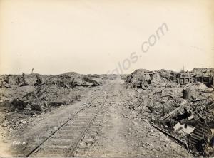 Narrow gauge railway track running through old Bri