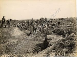 Canadian work party. Belgium 1916-1918.