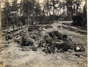 German corpses after British bombardment. Messines