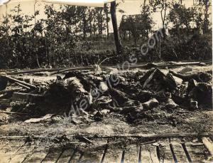 German bodies at Messines .Belgium 1916-1918.