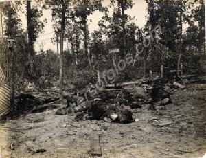 German bodies at Messines. Belgium 1916-1918.