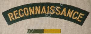 Reconnaissance Corps shoulder title and Arm of Ser