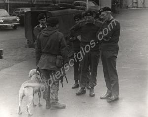 Brigadier A.J.A. Arengo-Jones debriefing dog patro