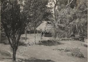 Scenic view.  Kenya, 1955-56.