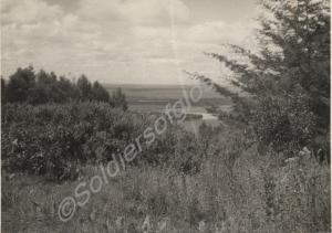 Scenic view.  Kenya, 1955-56.