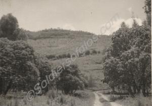 Scenic view.  Kenya, 1955-56.