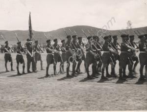 Colour Party, Back Badge Day parade.  1st Battalio