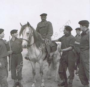 Local horseman.  Gloucestershire Regiment. Libya.
