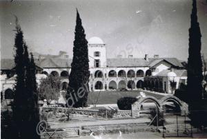 Lawn and swimming pool at Government House.  Muhar