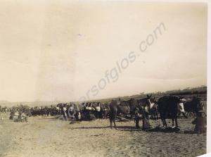 Transport sections. 1st Battalion, The Gloucesters