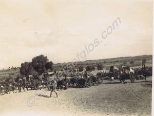Transport sections. 1st Battalion, The Gloucesters