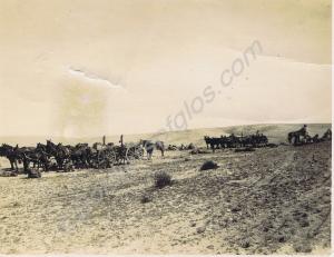 Transport sections. 1st Battalion, The Gloucesters